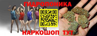 мдпв Краснодар